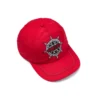 DT Star-pet Rood