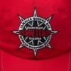 DT Star-pet Rood