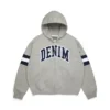 DT Stripe-hoodie met rits, grijs