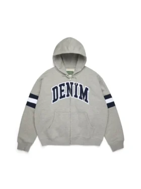 DT Stripe-hoodie met rits, grijs