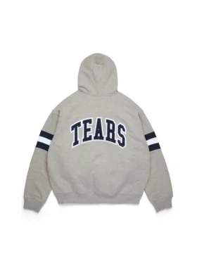 DT Stripe-hoodie met rits, grijs