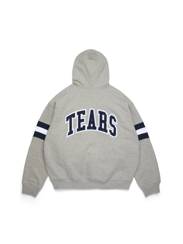 DT Stripe-hoodie met rits, grijs