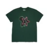 Pan-Afrikaans ster-T-shirt groen